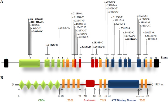 Fig 8