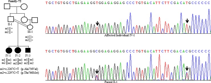 Fig 10