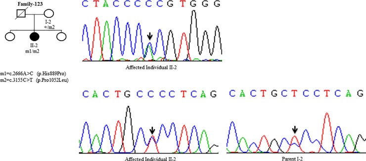 Fig 6