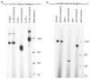 Extended Data Fig. 2