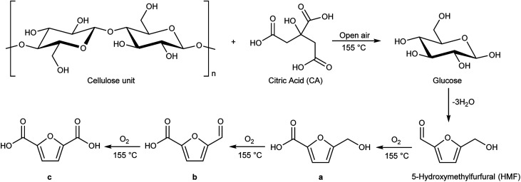 Scheme 2