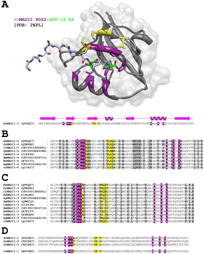 Fig. 5.