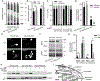 Figure 3-