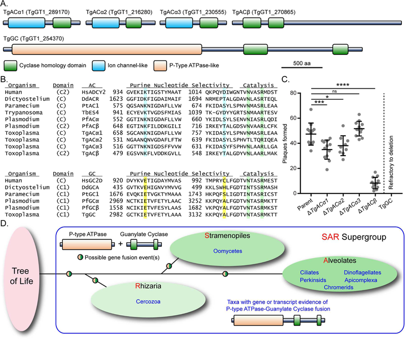 Figure 1-