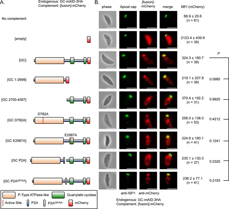 Figure 4-