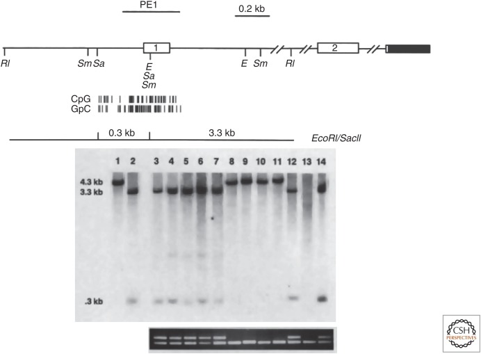 Figure 7.