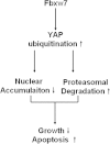 Figure 8