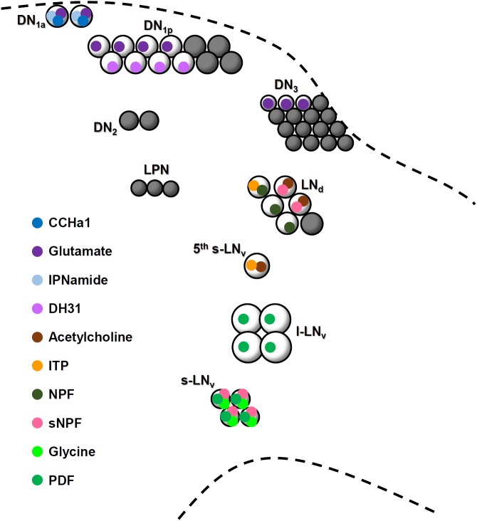 FIGURE 9