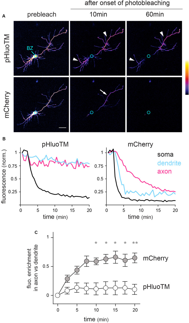 FIGURE 3