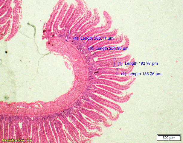 Fig 10