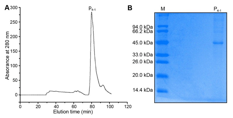 Fig. 3.