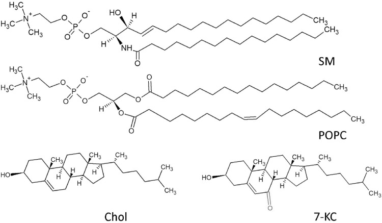 Fig. 1