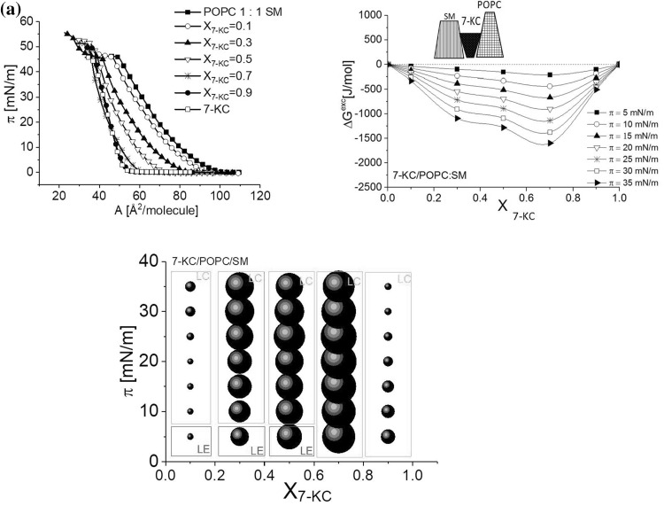 Fig. 9