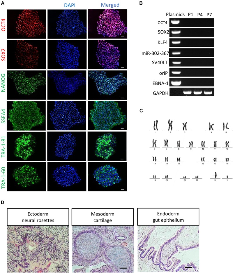 FIGURE 2