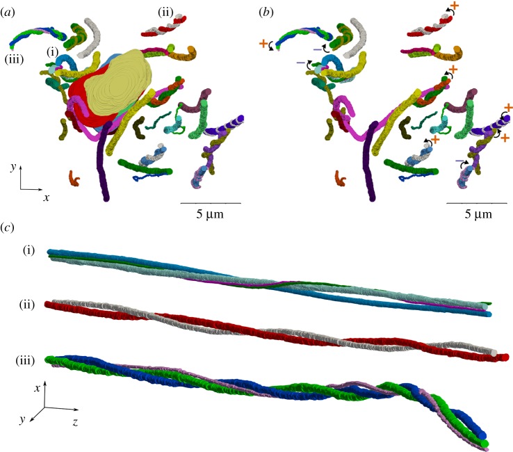 Figure 4.