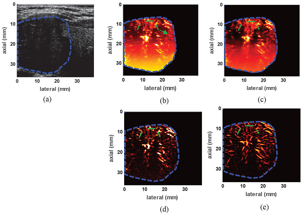 Fig. 8: