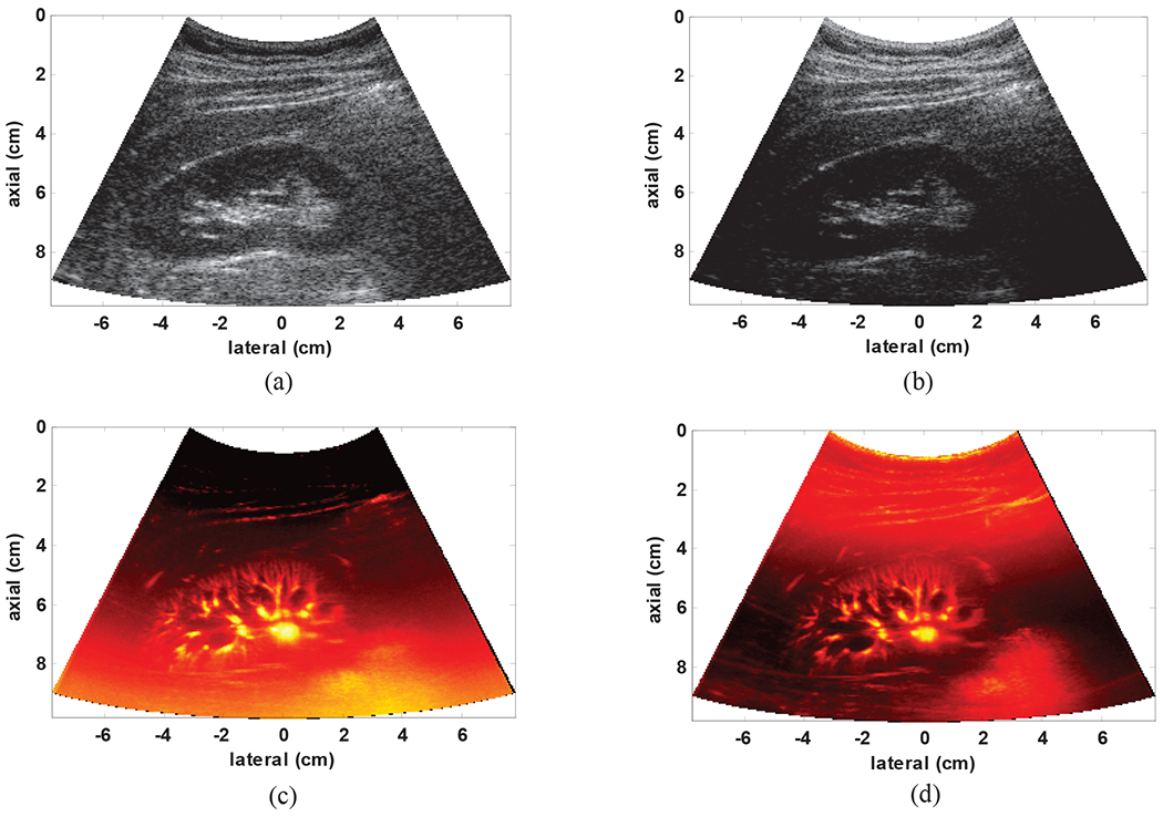 Fig. 5: