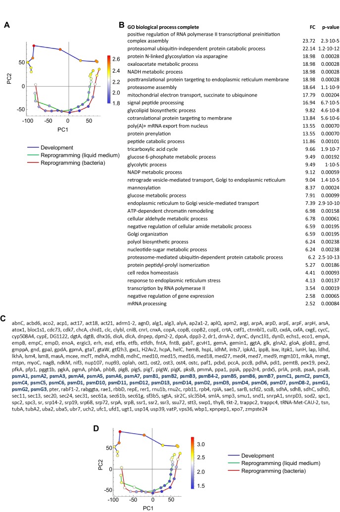 Figure 2—figure supplement 3.