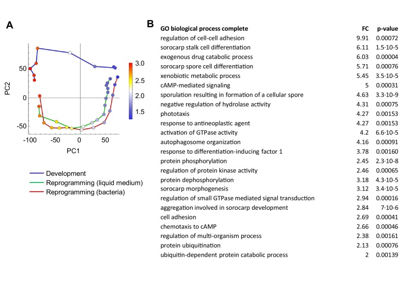 Figure 2—figure supplement 2.