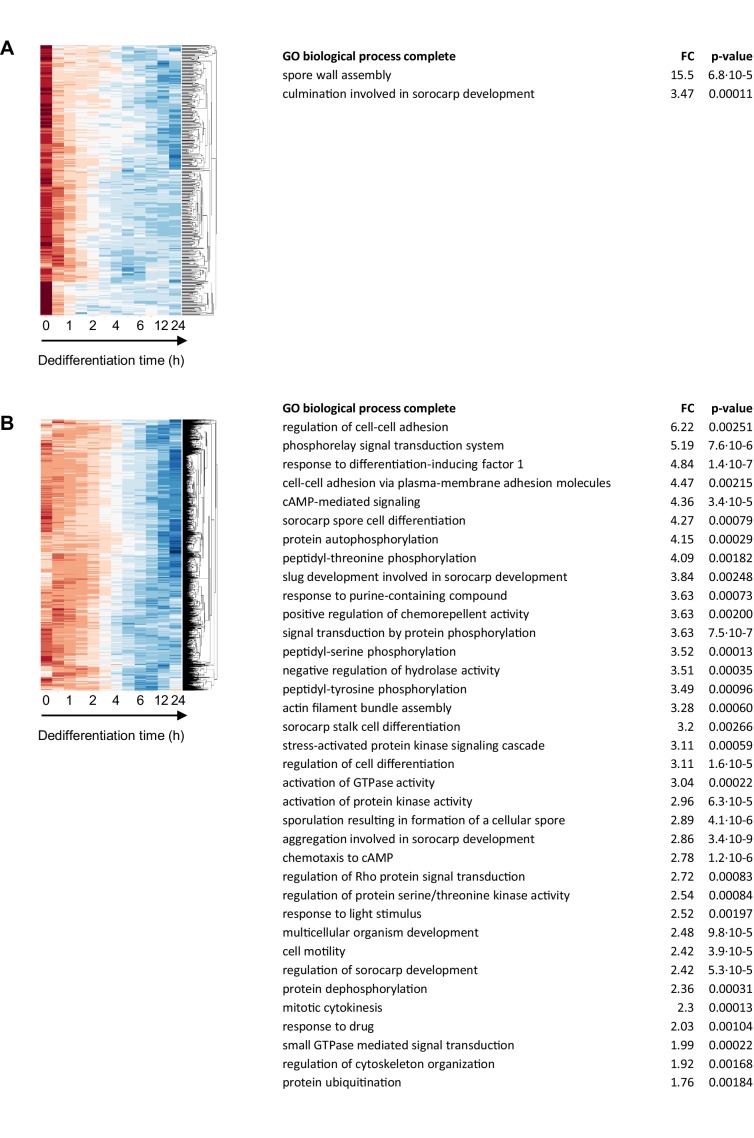 Figure 2—figure supplement 6.