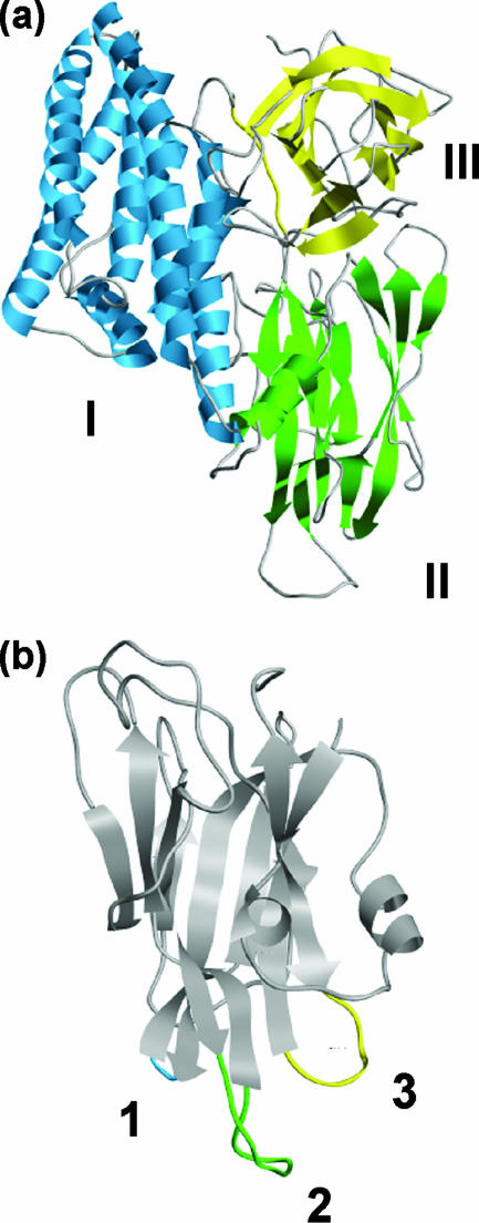 FIG. 1.