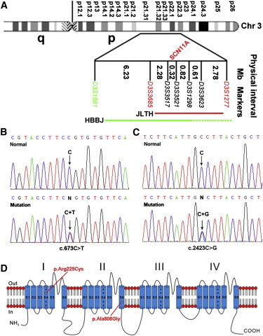 Figure 2