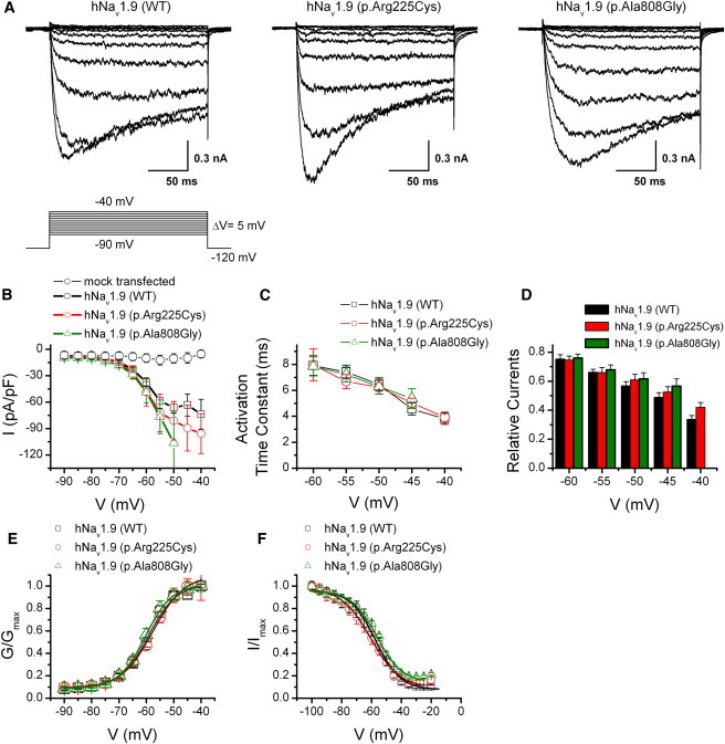 Figure 3