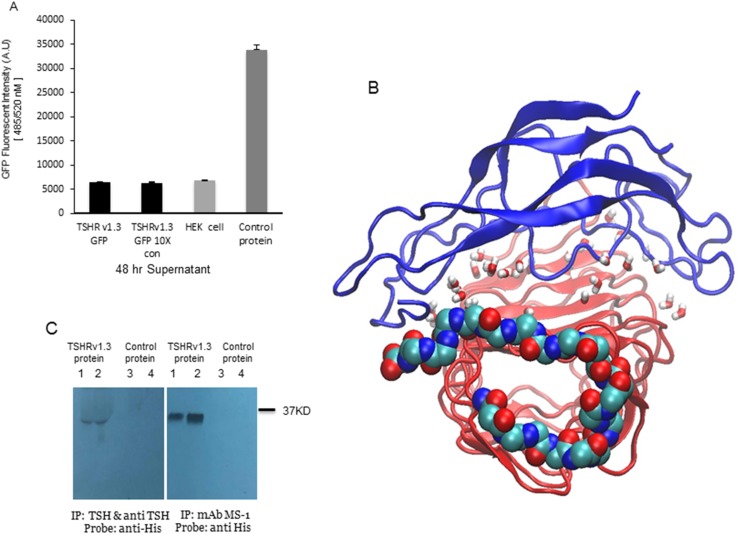 Figure 4.