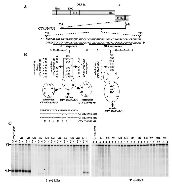 FIG. 6.