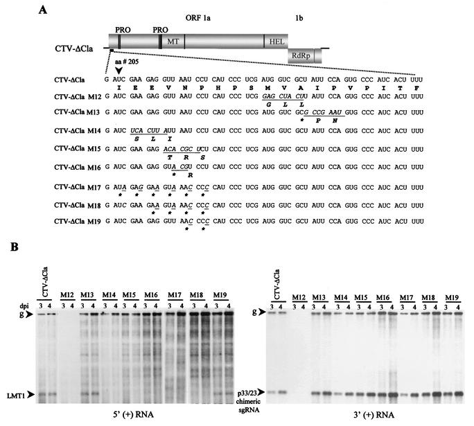 FIG. 7.