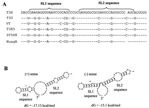 FIG. 5.