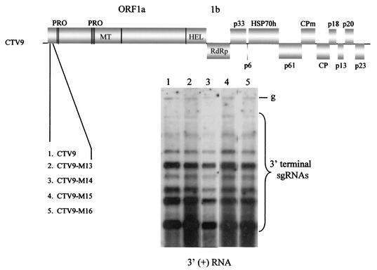 FIG. 8.