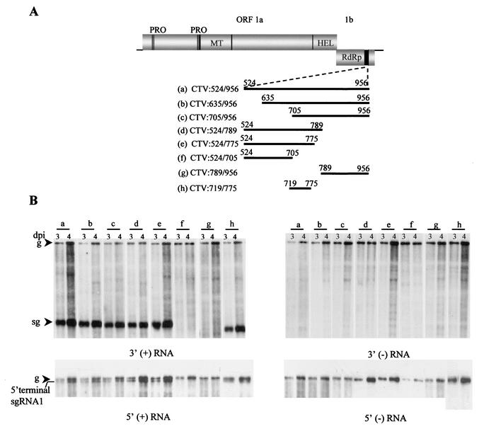 FIG. 4.