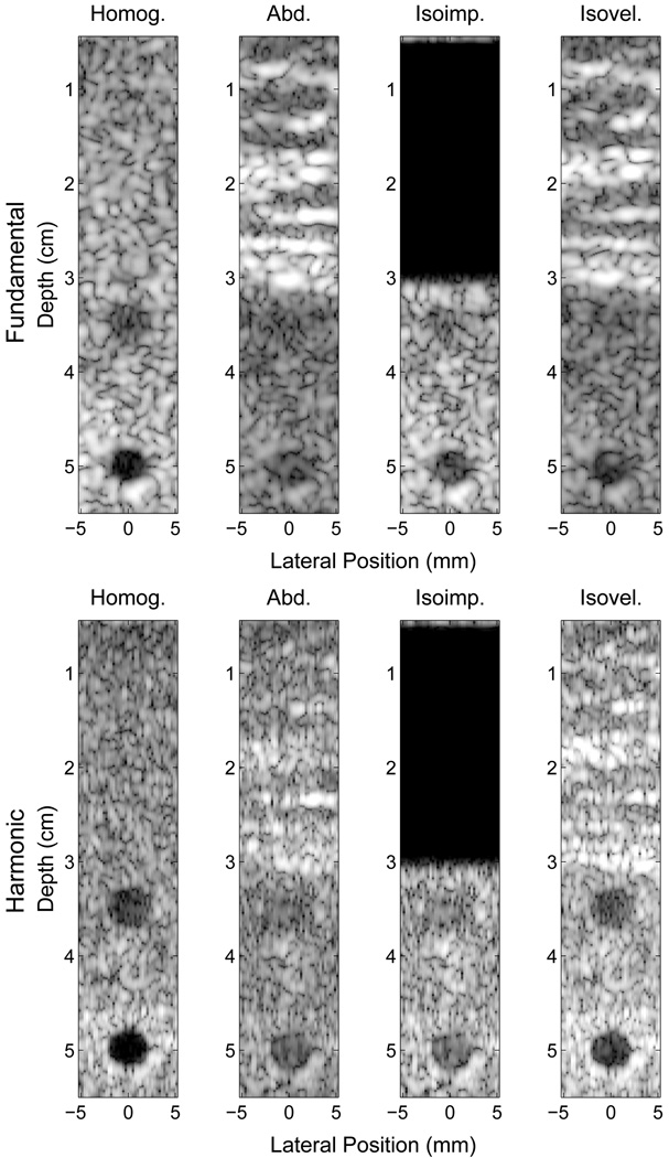 Fig. 10