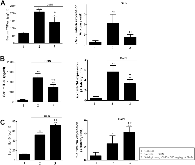 Fig. 3