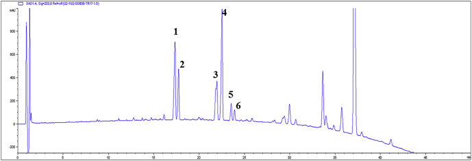 Fig. 1