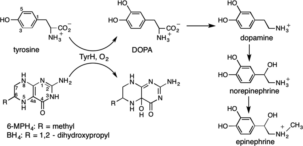 Scheme 1