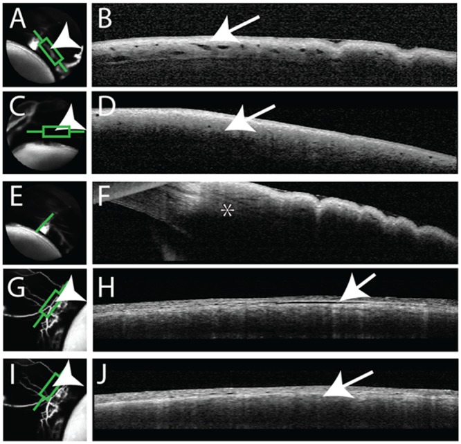 Fig 5