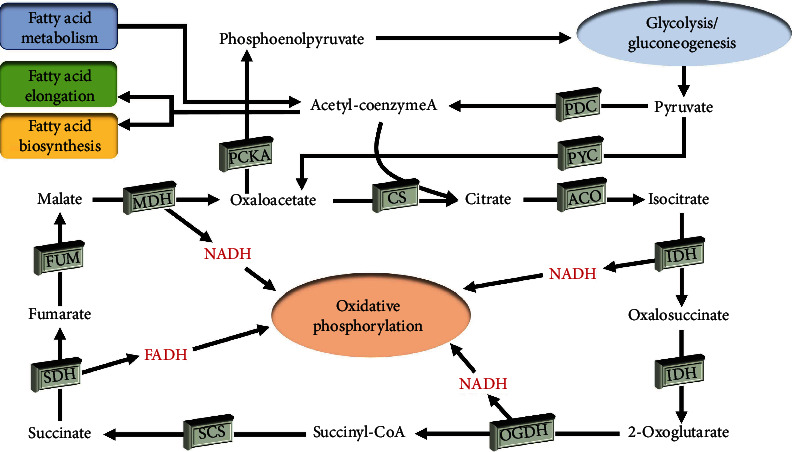 Figure 9