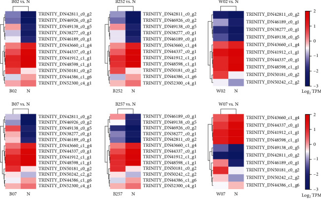 Figure 12