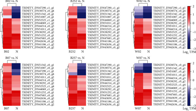 Figure 10