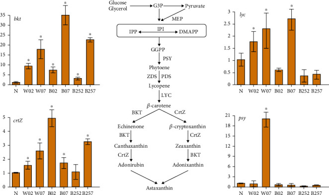 Figure 13