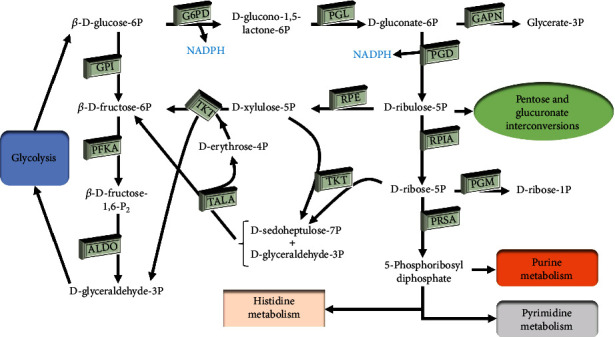 Figure 11