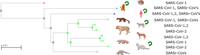 Fig. 3