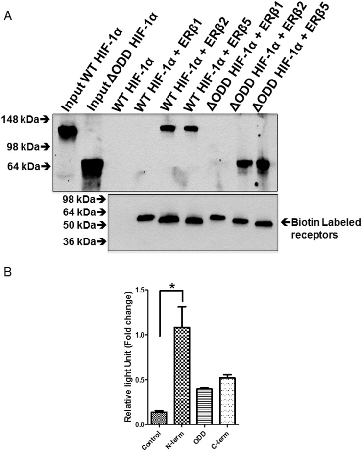 Fig 5