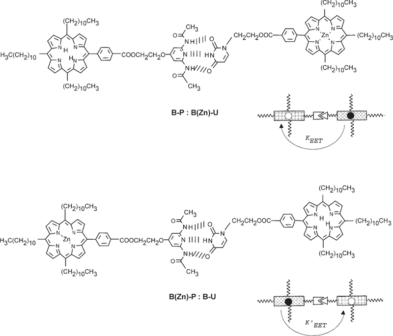 Scheme 6.