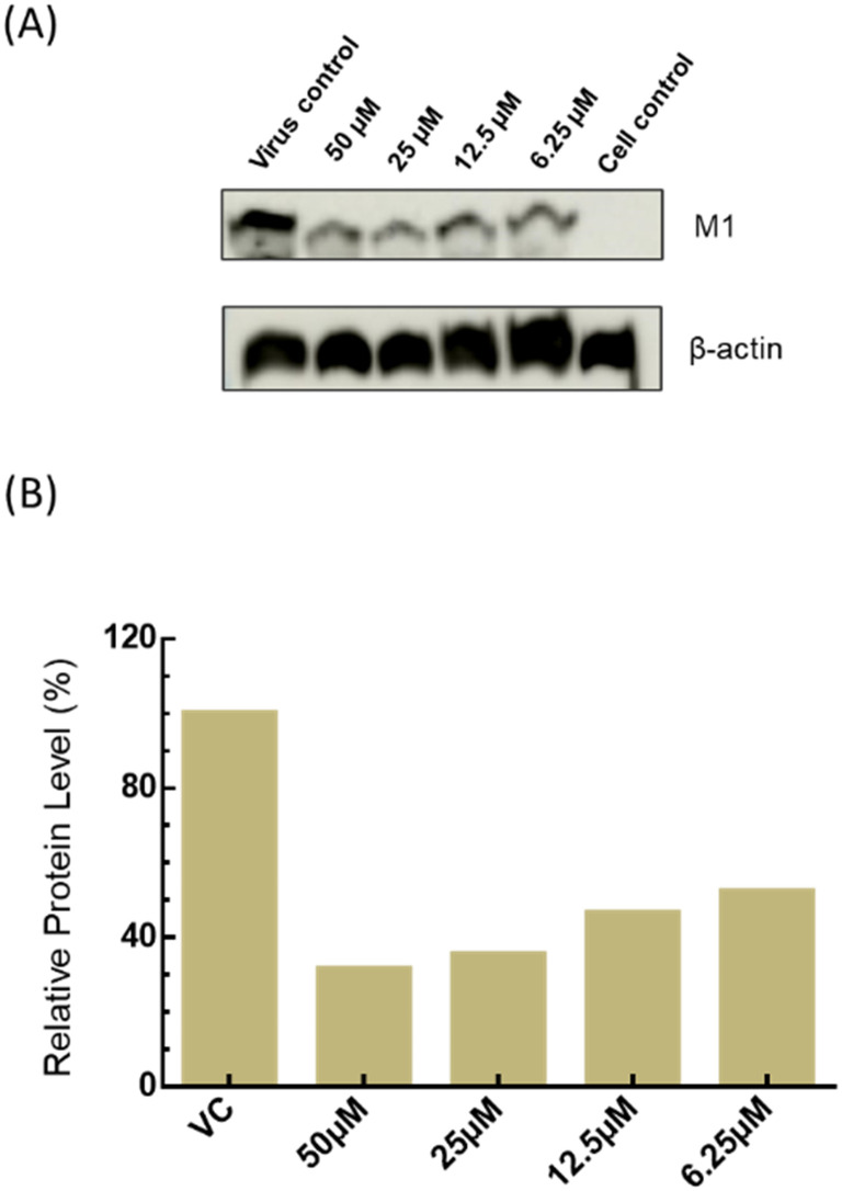 Fig. 7