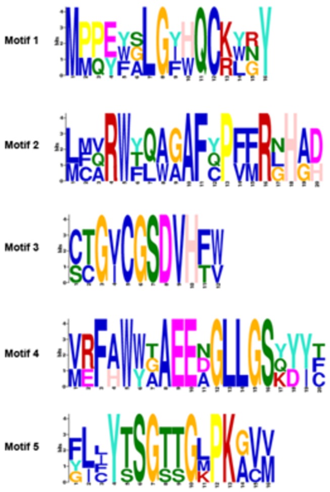 Figure 7