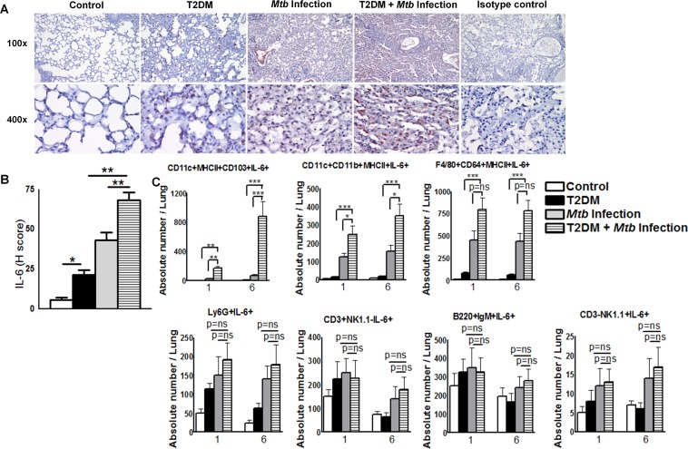 Fig 6