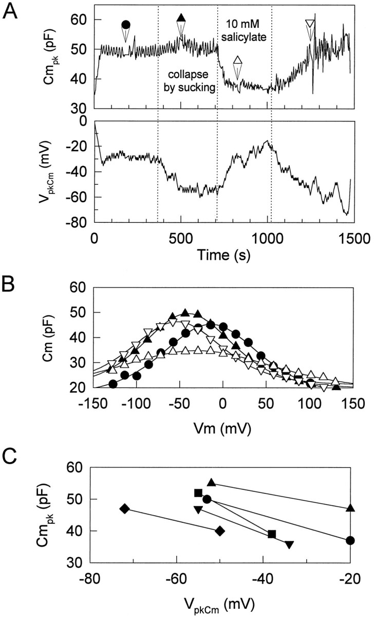 Fig. 8.